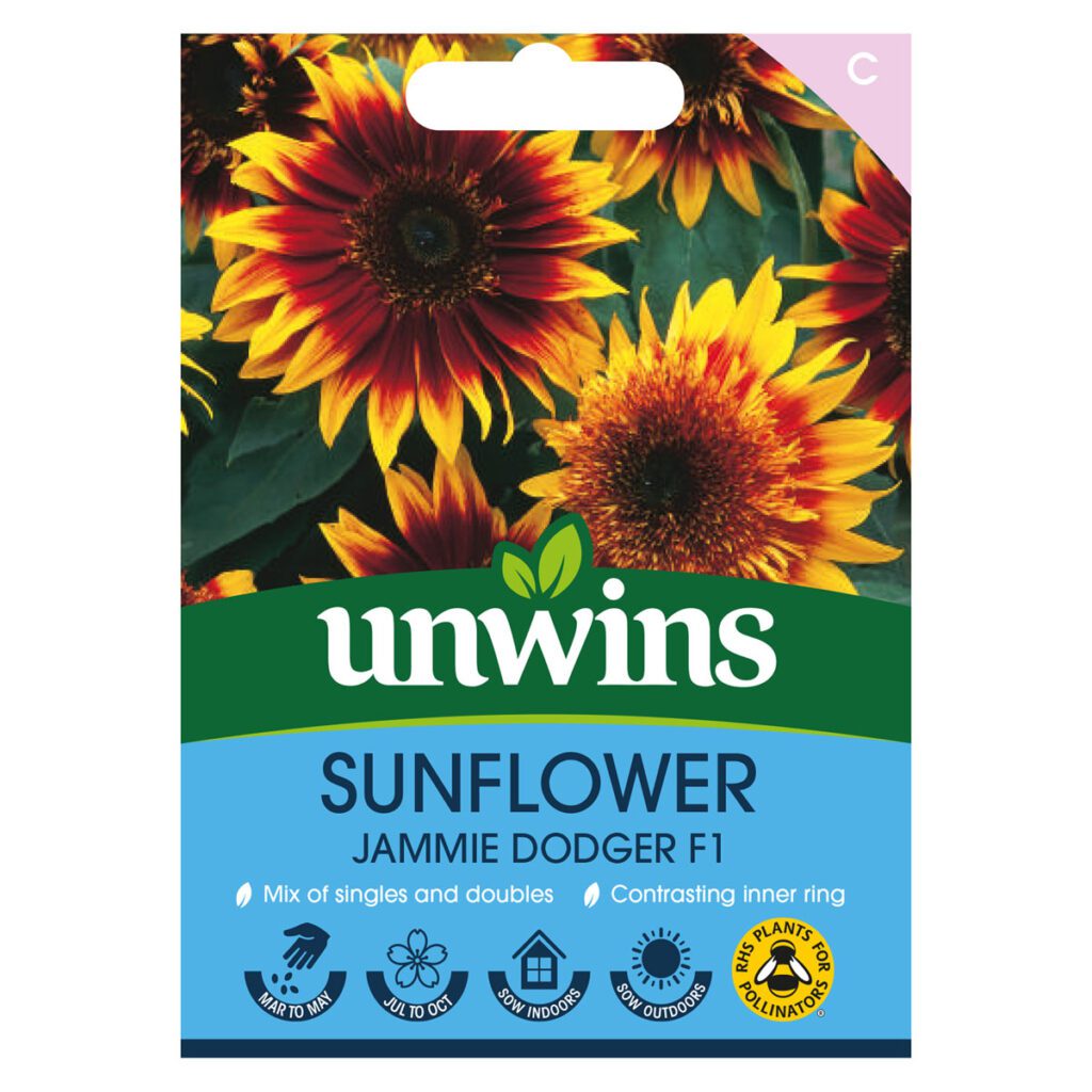 Unwins Sunflower Jammie Dodger F1 Seeds 5051618012270 2